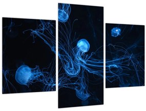 Tablou - Meduză (90x60 cm)