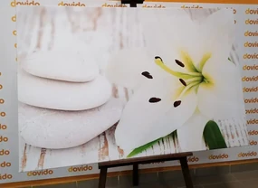 Tablou crinul și pietre de masaj în design alb