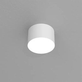 Spot DIXIE 1xGX53/11W/230V alb