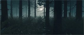 Tablou - Ferigi în lumina lunii (120x50 cm)