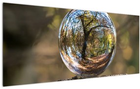 Tablou - Reflecție intr-o sferă transparentă (120x50 cm)