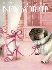 Ilustrație The NY Magazine Cover 278