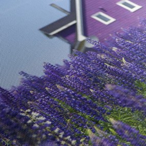Tablou cu câmp de lavanda (cu ceas) (90x30 cm)