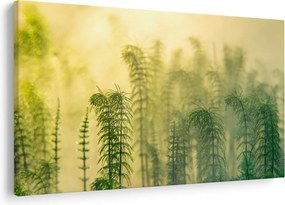 Tablou - Detaliu de primăvară natura cețoasă (90x60 cm)