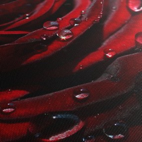 Tablou - Trandafir (90x60 cm)