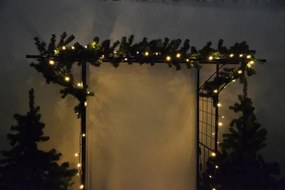 Lanț luminos diLED - 40 LED, alb cald, fără transformator