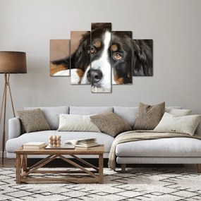Tablou cu câine (150x105 cm)