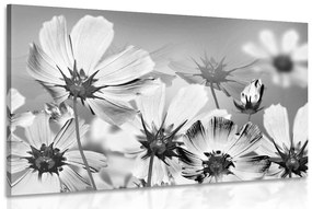 Tablou flori de vară în design alb-negru