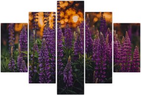 Tablou - Flori de lupin (150x105 cm)