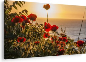 Tablou cu apus de soare cu flori de maci (90x60 cm)