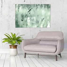 Tablou - Pajiște verde (90x60 cm)