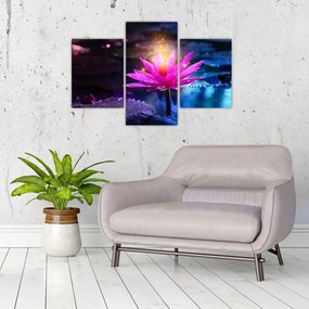 Tablou cu lotus pe apă (90x60 cm)