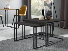 Set 2 măsuțe cafea Froyd (Negru + Negru molet) . 1105866