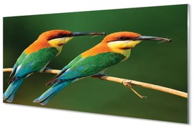 Tablouri pe sticlă papagal colorat de pe o ramură