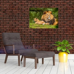 Tablou cu lei (70x50 cm)