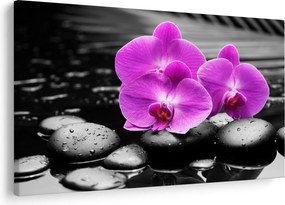 Tablou - Orhidee violet (90x60 cm)