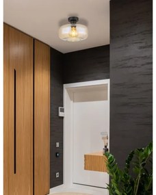 Lustră aplicată GIUSEPPE 1xE27/40W/230V transparent Globo 15566DA