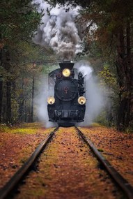 Fotografie Through the autumn forest, Rafal R. Nebelski