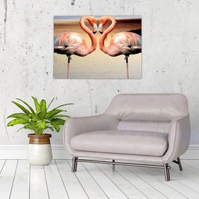 Tablou pe sticlă - doi flamemgo (70x50 cm)