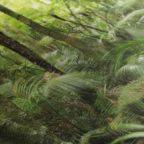 Tablou - Pădure tropicală (150x105 cm)