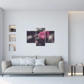 Tablou - Detaliu florii de trandafir (90x60 cm)