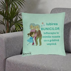 Cadou pentru Bunici - Perna Personalizata Bunicii Iubirea Infloreste cu Nepoata Teal, 40x40 cm, Verde Menta, Husa Detasabila, Perna Inclusa, BEKZ®