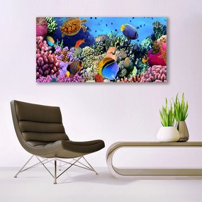 Tablou pe panza canvas Coral Reef Natura Multi