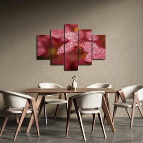 Tablou - Imagine macro a biletului (150x105 cm)