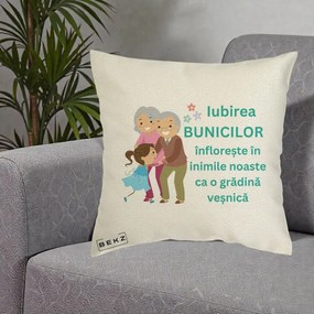 Cadou pentru Bunici - Perna Personalizata Bunicii Iubirea Infloreste cu Nepoata Teal, 40x40 cm, Ecru, Husa Detasabila, Perna Inclusa, BEKZ®