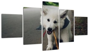 Tablou cu câinele alb (125x70 cm), în 40 de alte dimensiuni noi