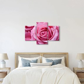 Tablou cu trandafir (90x60 cm)