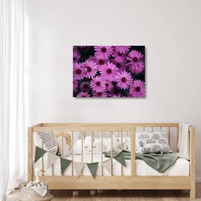 Tablou pe sticlă cu florile roz (70x50 cm)