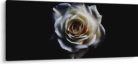 Tablou cu trandafir alb (120x50 cm)