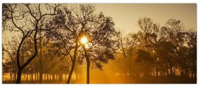 Tablou cu răsăsrit de soare (120x50 cm)
