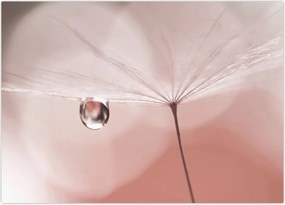 Tablou - O picătură de rouă (70x50 cm)