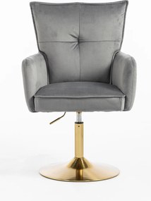 HR250N Scaun Catifea Grafit Bază Aurie