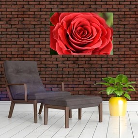 Tablou - Flori de trandafir (90x60 cm)