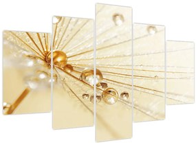 Tablou - Fotografie macro de păpădie (150x105 cm)