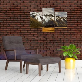 Tablou cu mutele Sefton, Noua Zeealnda (90x60 cm)