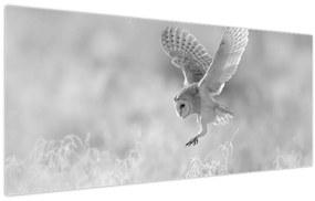 Tablou - Bufniță în câmp (120x50 cm)