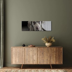 Tablou cu cățeluș (cu ceas) (90x30 cm)
