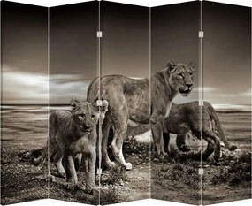 Paravan - Leii alb negri (210x170 cm)