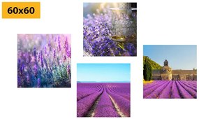 Set tablouri pentru iubitorii de lavandă