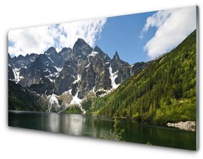 Tablouri acrilice Mountain Lake Forest Peisaj Verde Albastru Alb Gri