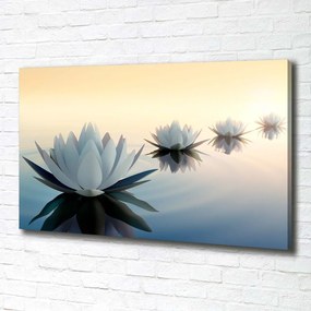Pictură pe pânză Flori de lotus