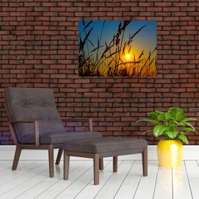 Tablou - Apus de soare pe pajiște (70x50 cm)