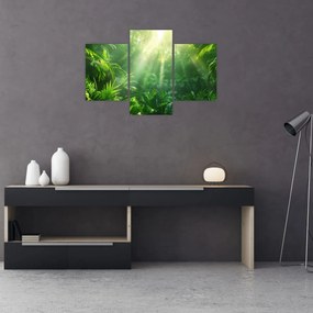 Tablou - Pădurea tropicală (90x60 cm)