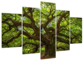 Tablou - Copac verde (150x105 cm)