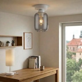 BRILAGI - Lampă LED de tavan R GLASS 1xE27/60W/230V Ø 14 cm alb/gri fumuriu