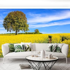 Fototapet galben Flori